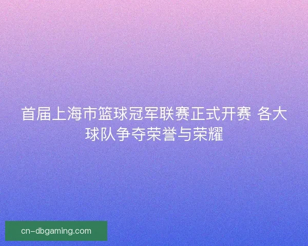 首届上海市篮球冠军联赛正式开赛 各大球队争夺荣誉与荣耀